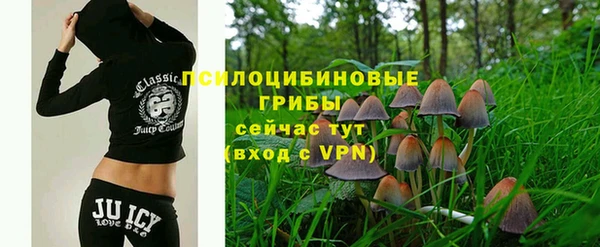 дурь Абаза
