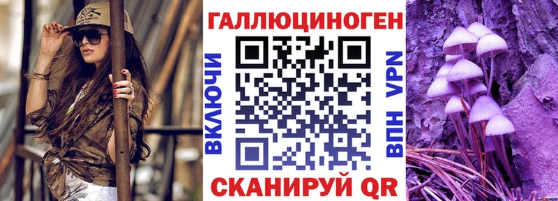 где можно купить наркотик  площадка состав  Галлюциногенные грибы GOLDEN TEACHER  Фокино 