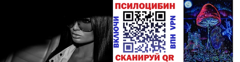 Псилоцибиновые грибы Cubensis Фокино